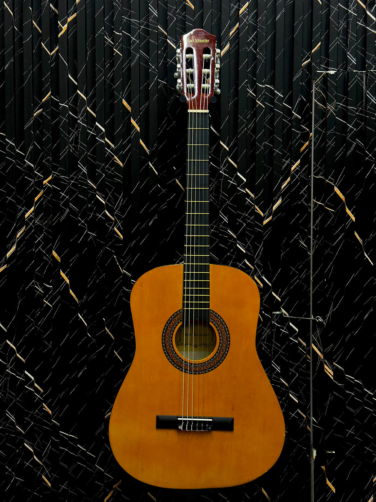 ✨Guitar classic  (Karl schneider)✨