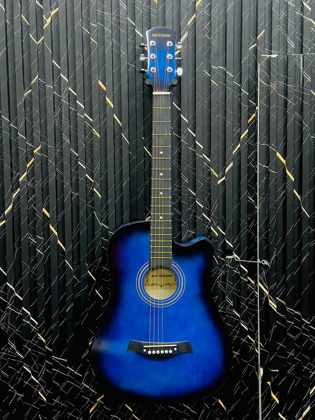 ✨Guitar Acoustic Karl Schneider✨