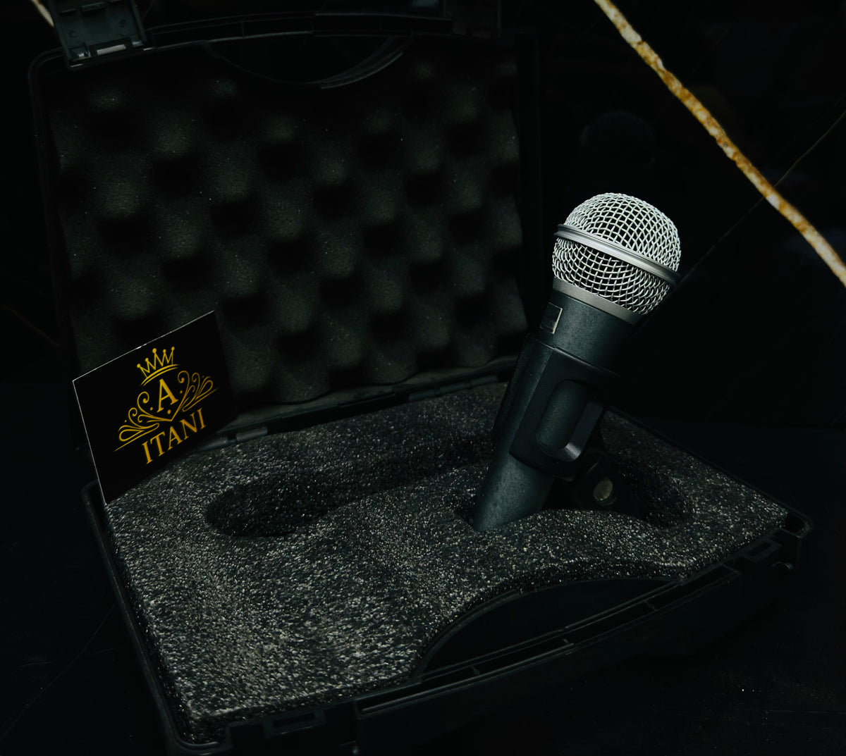 ✨Microphone DTECH✨