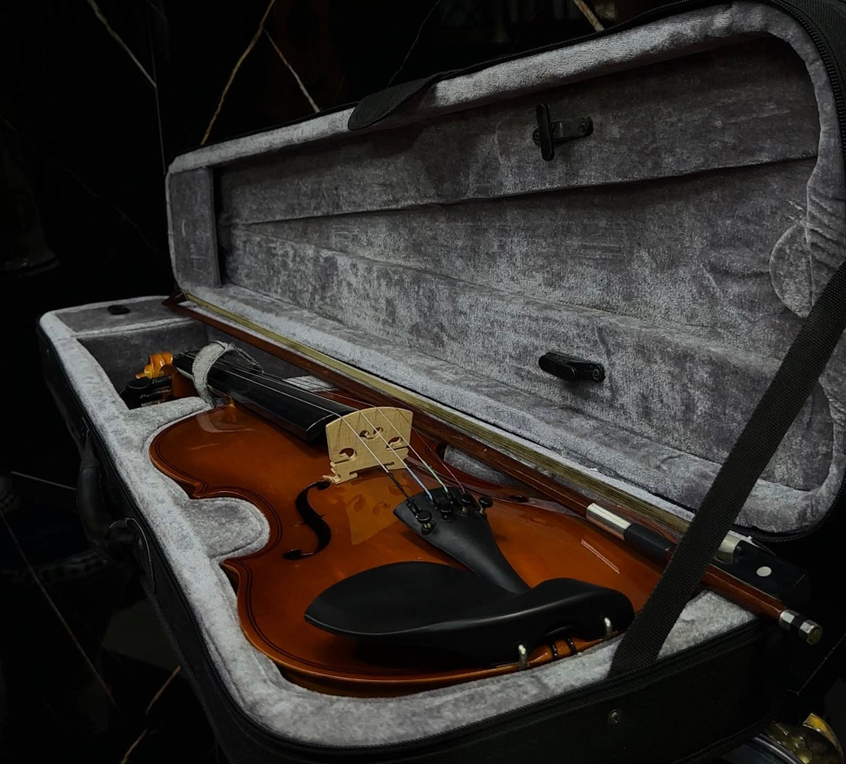 ✨Violin Size 4/4✨